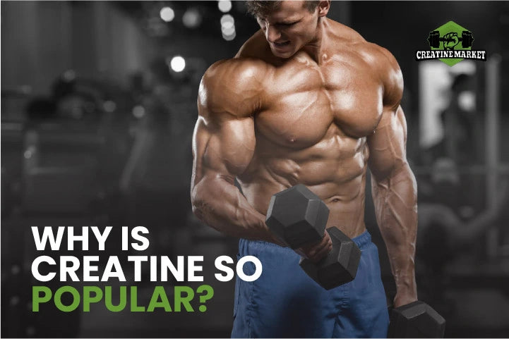 Why is Creatine So Popular?